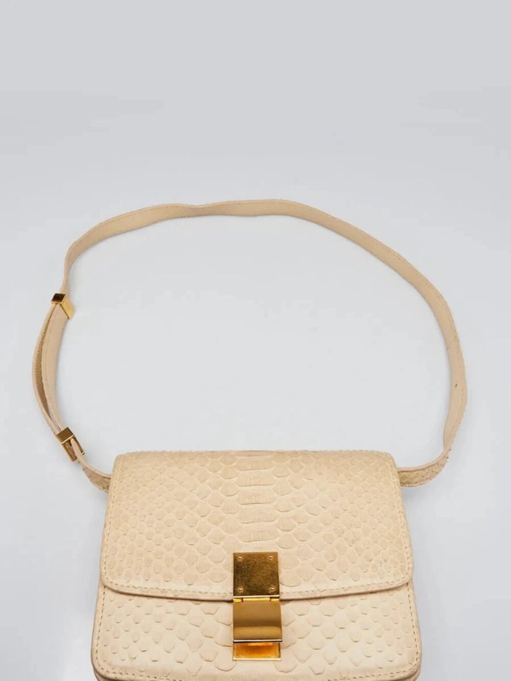 Celine Beige Python Mini Box Bag - Picture 7 of 11